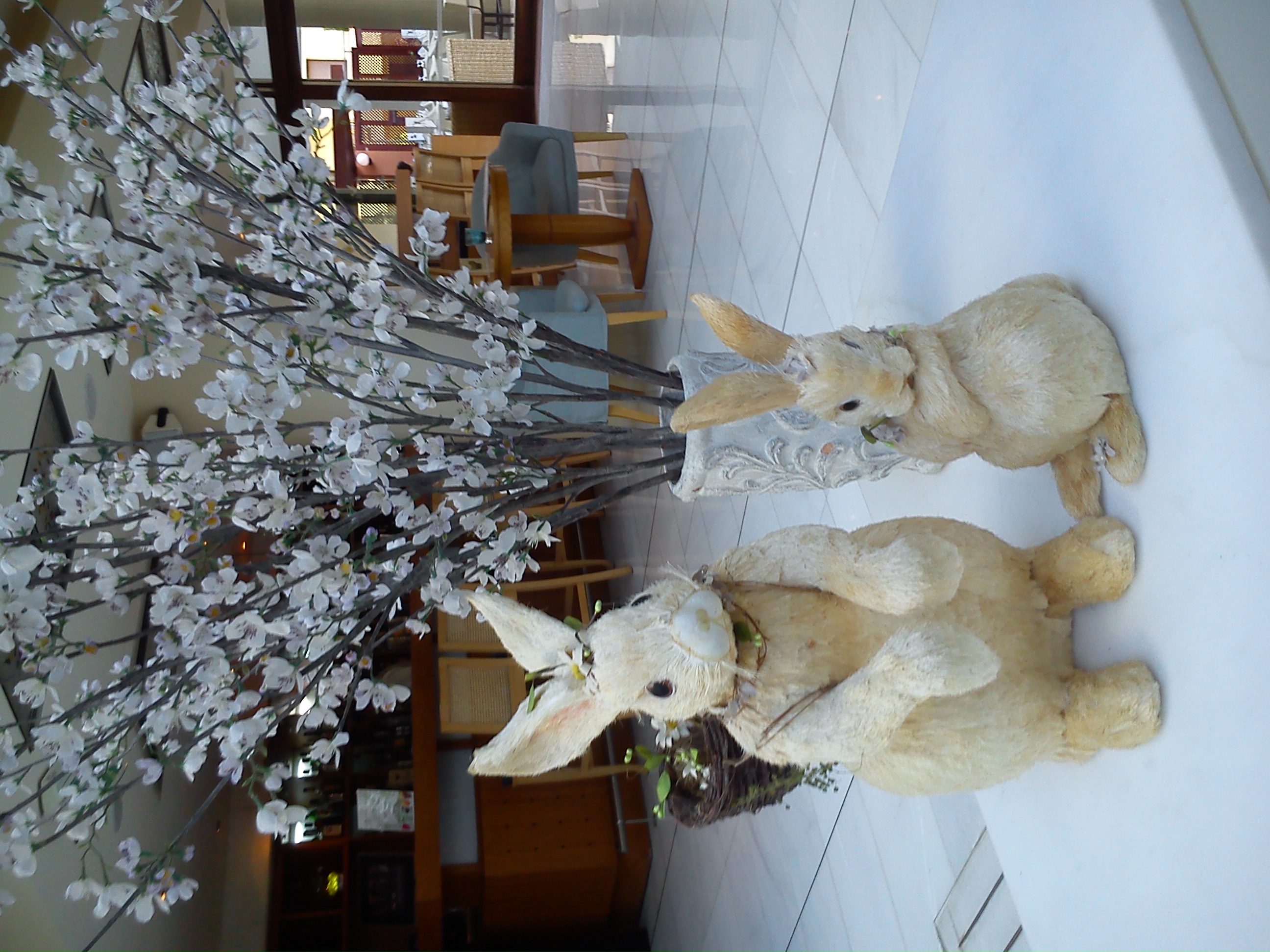 Фото Aquila Porto Rethymno