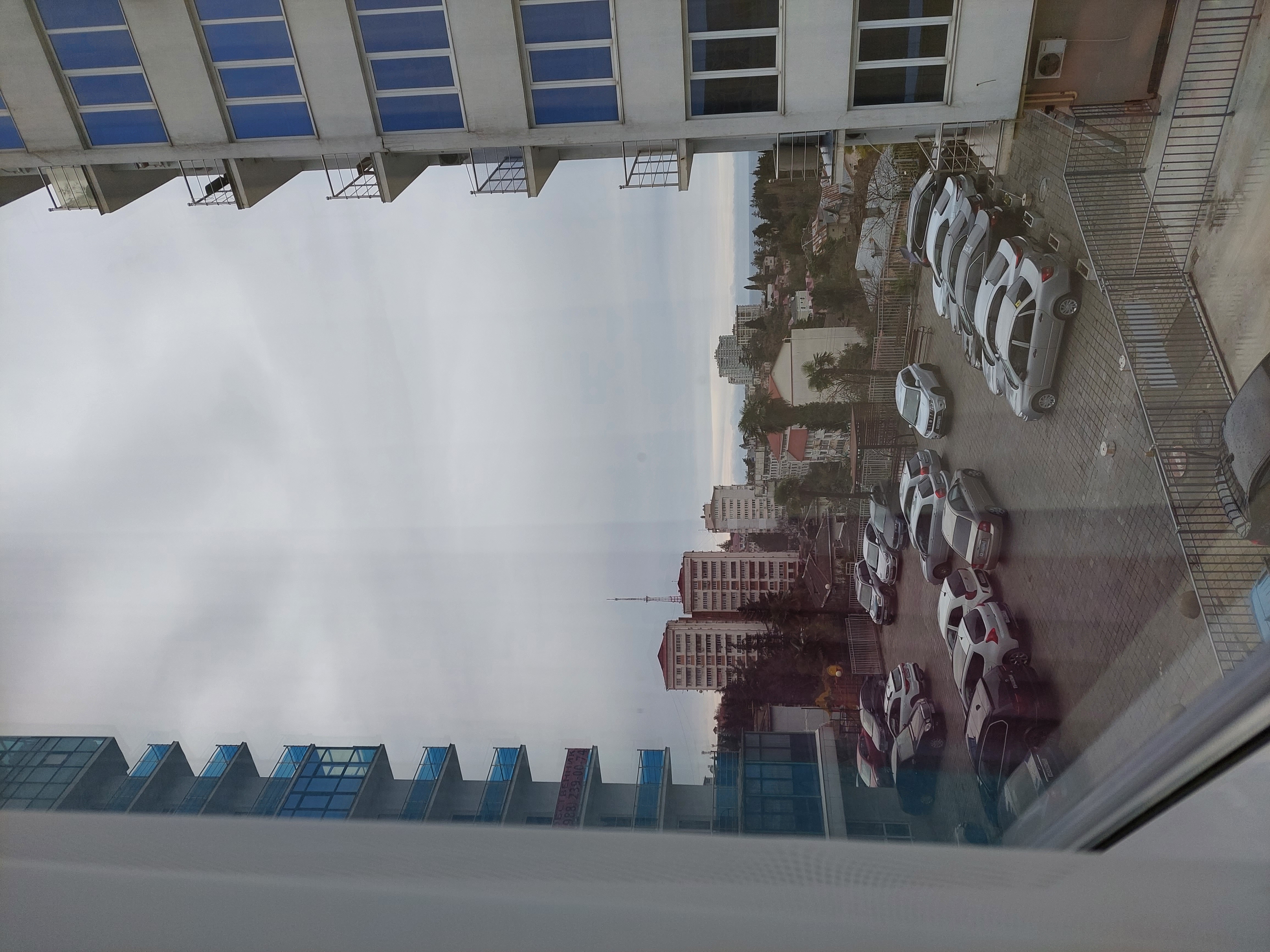 Фото Альпийская