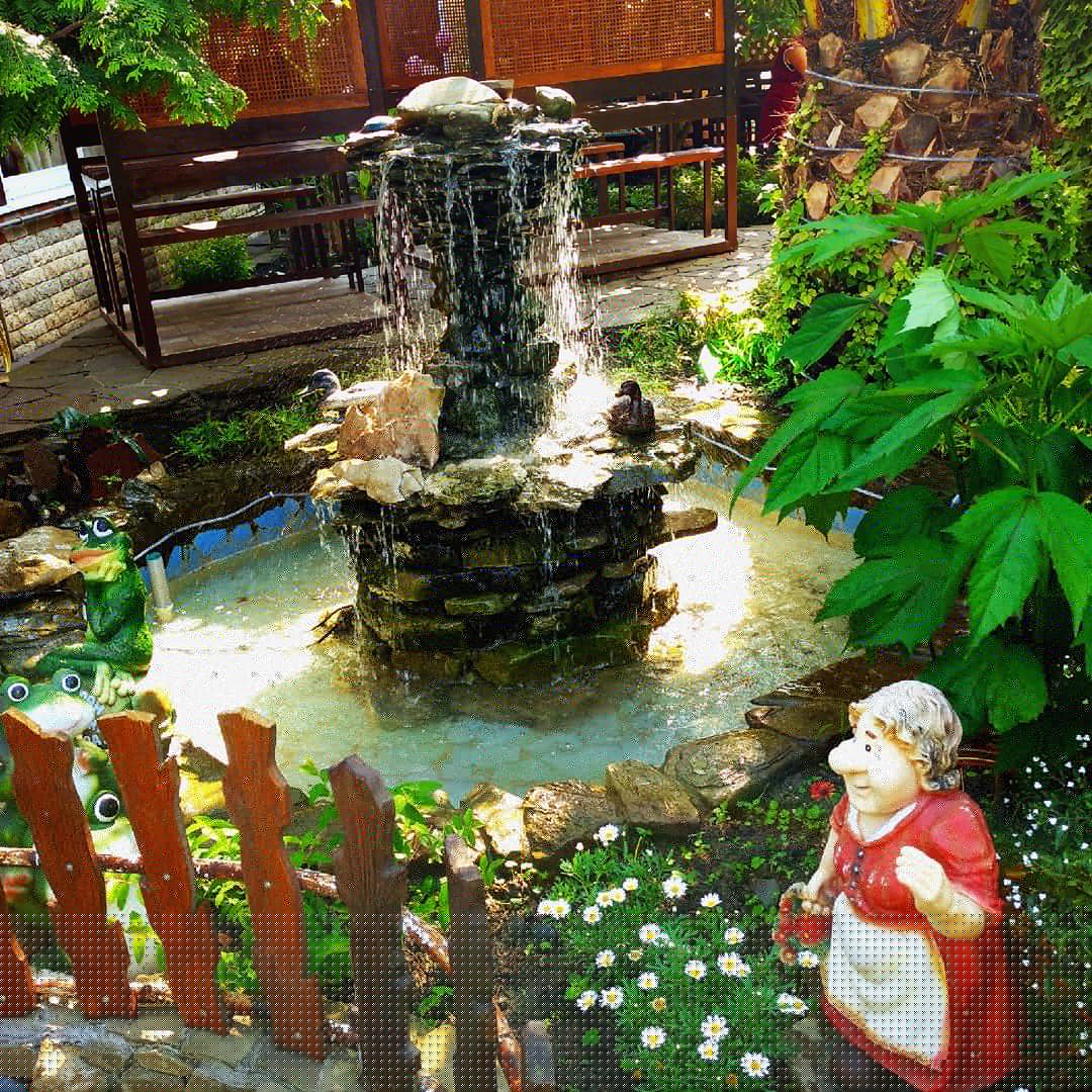 Фото Ромашка