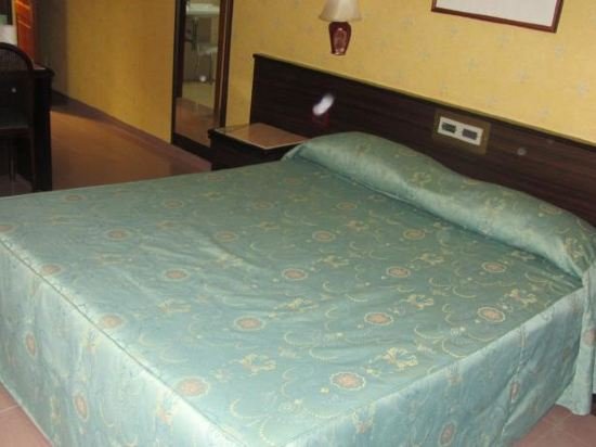 Фото Hotel Leonardo Da Vinci