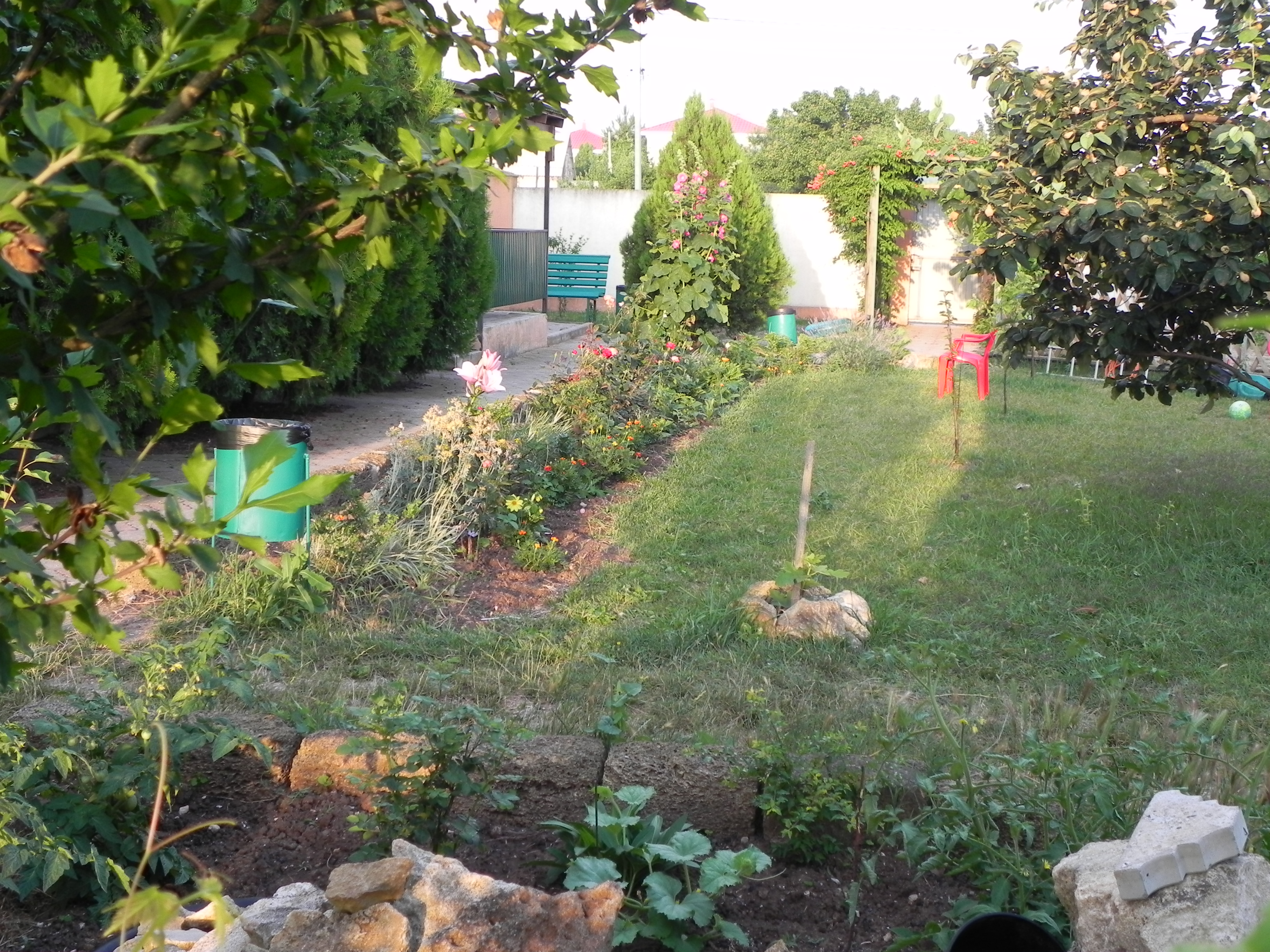 Фото Фанни Вероника