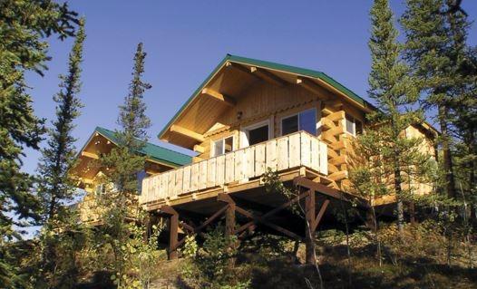 Фото Denali Grizzly Bear Resort