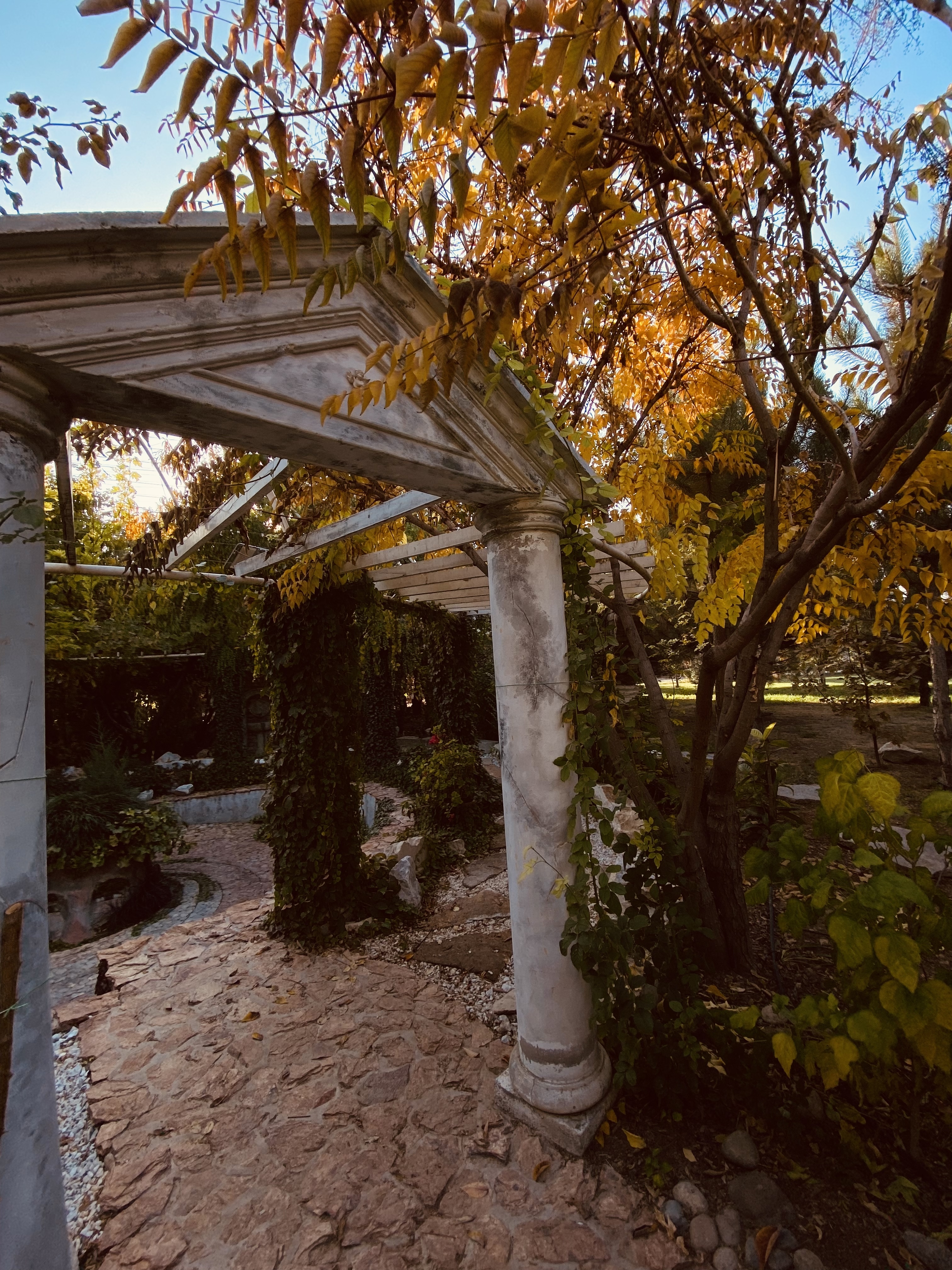 Фото Uzumfermer. uz