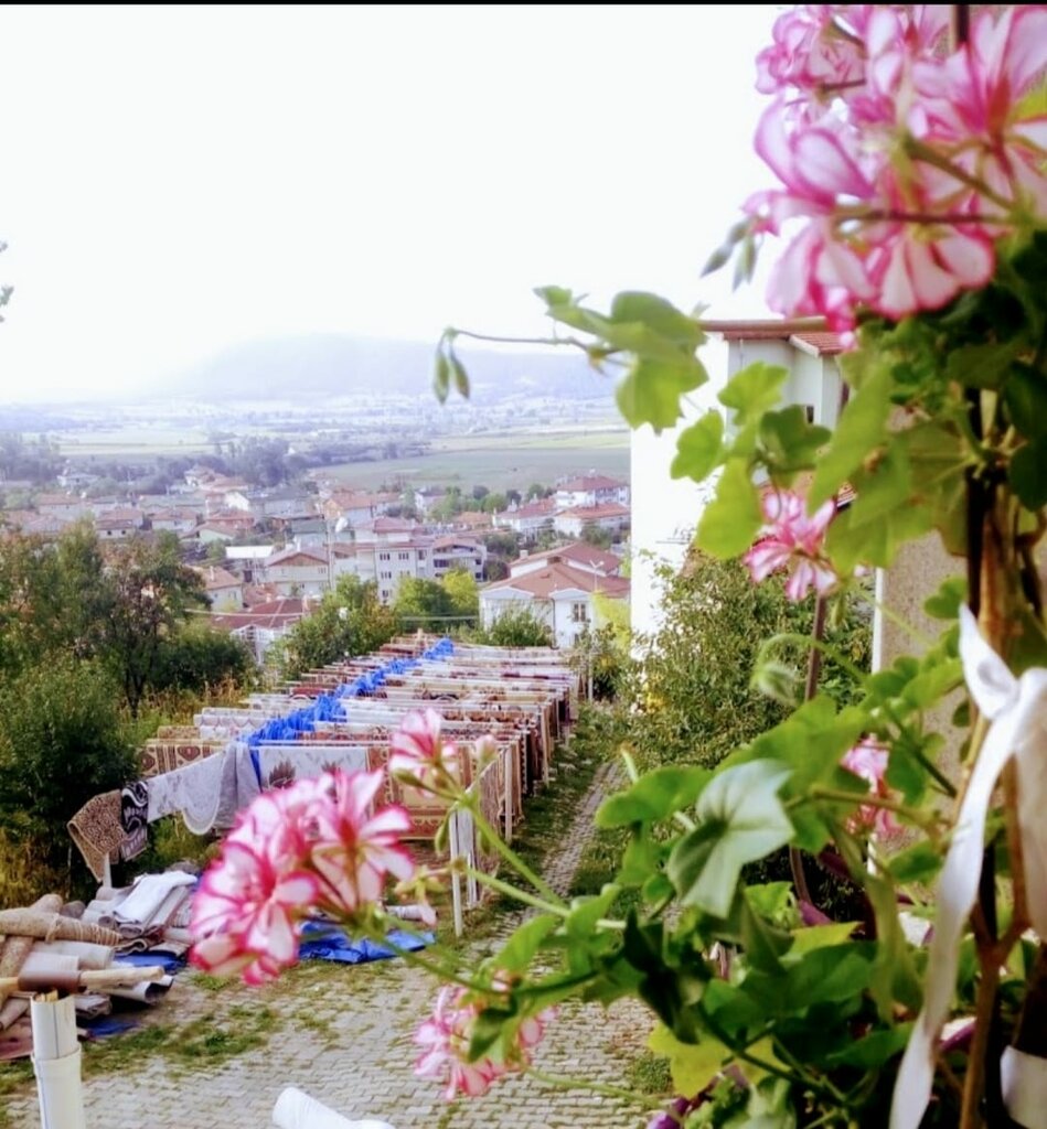 Halı yıkamacılar Ladik Halı Yıkama, Ladik, foto