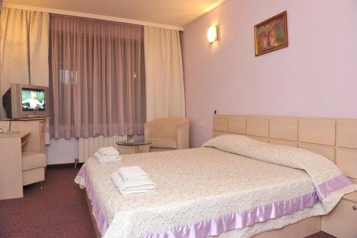 Фото Hotel Sokol