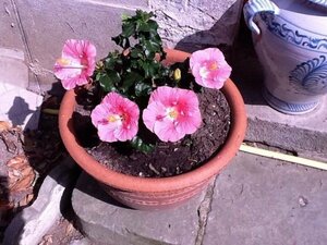 Villa du Canal (Toulouse, Rue Bertrand Gril, 7), hotel