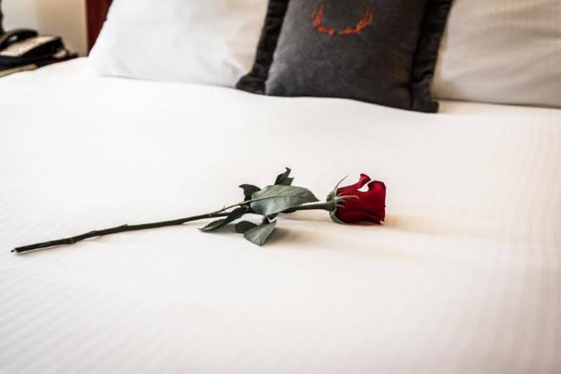 Фото Adara Hotel