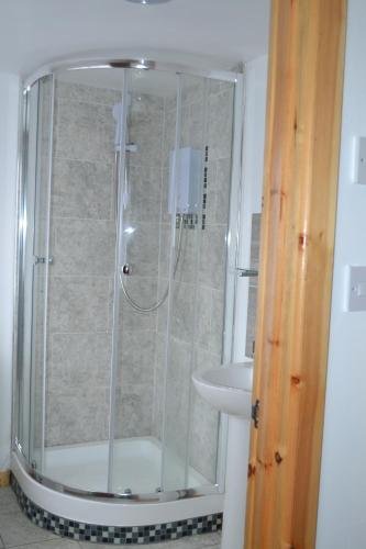 Фото Forest in City Lodge