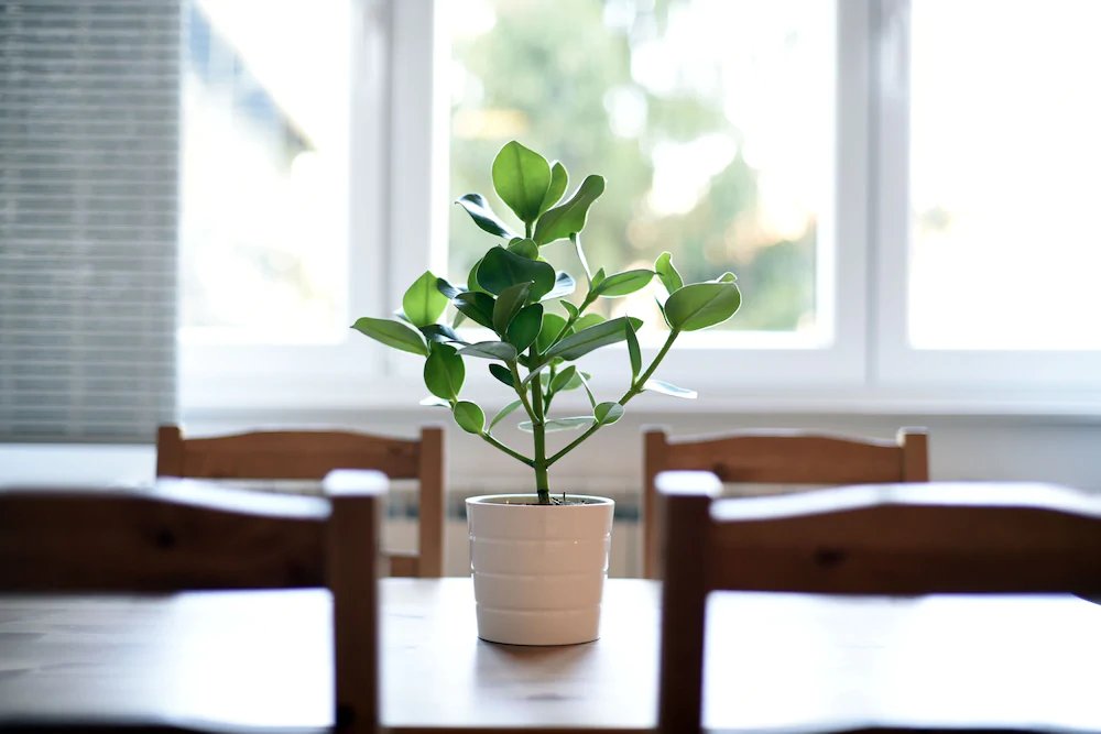 Фото First Choice Centar