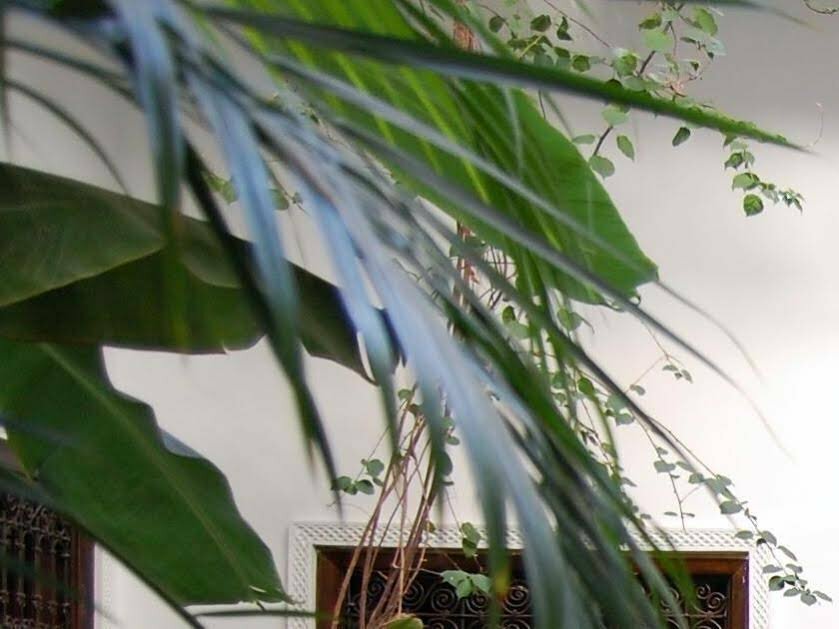 Hotel Riad Dar Bennani Hotel, Marrakech, photo