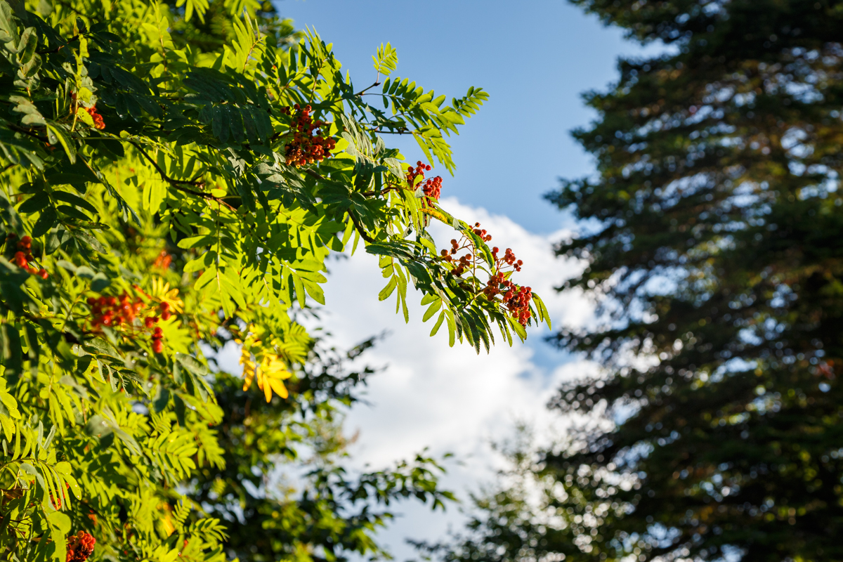 Фото Горный Воздух