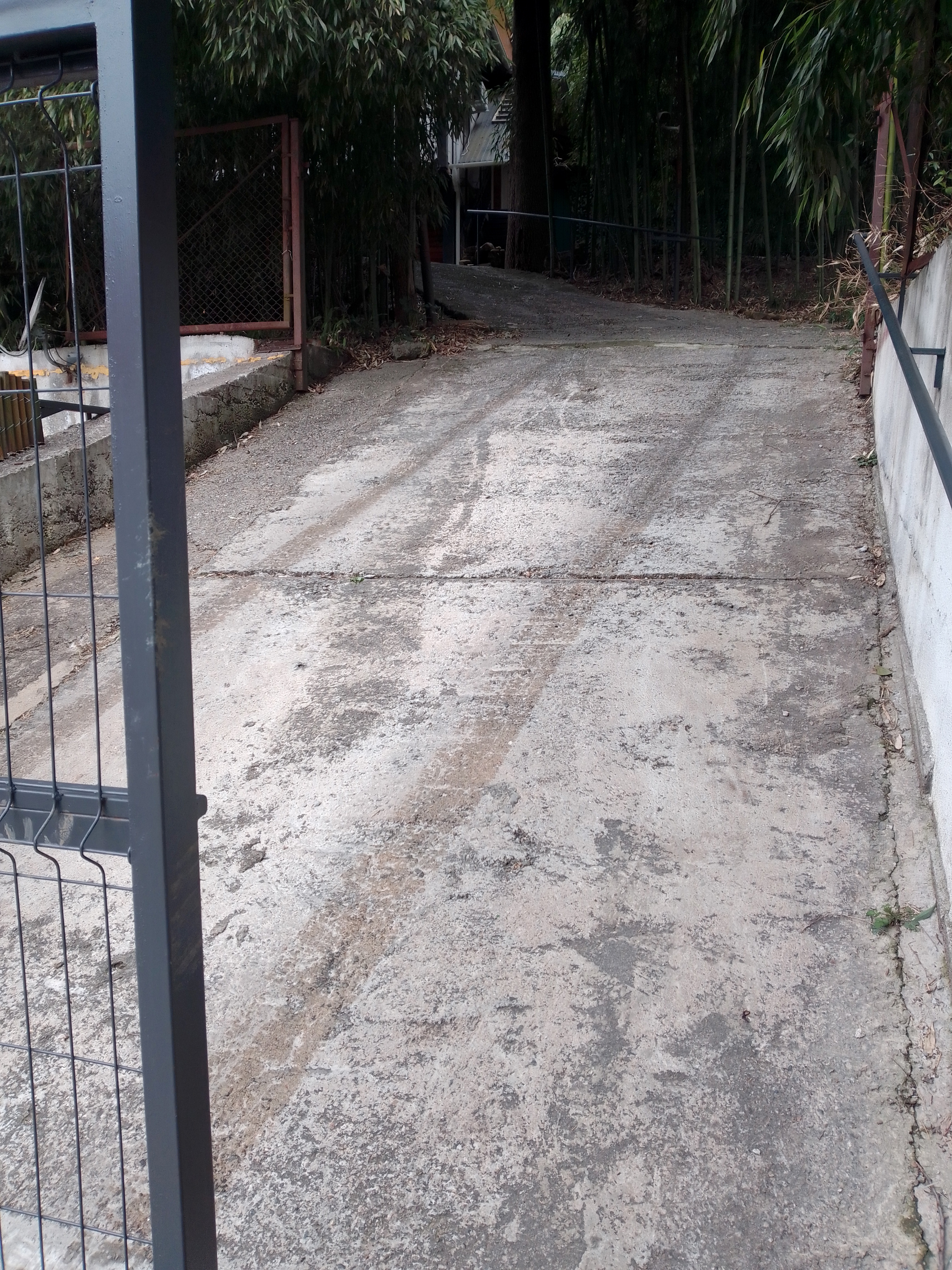 Фото Бамбуковая Роща