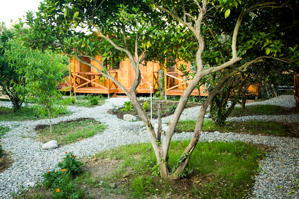 Фото Теремки