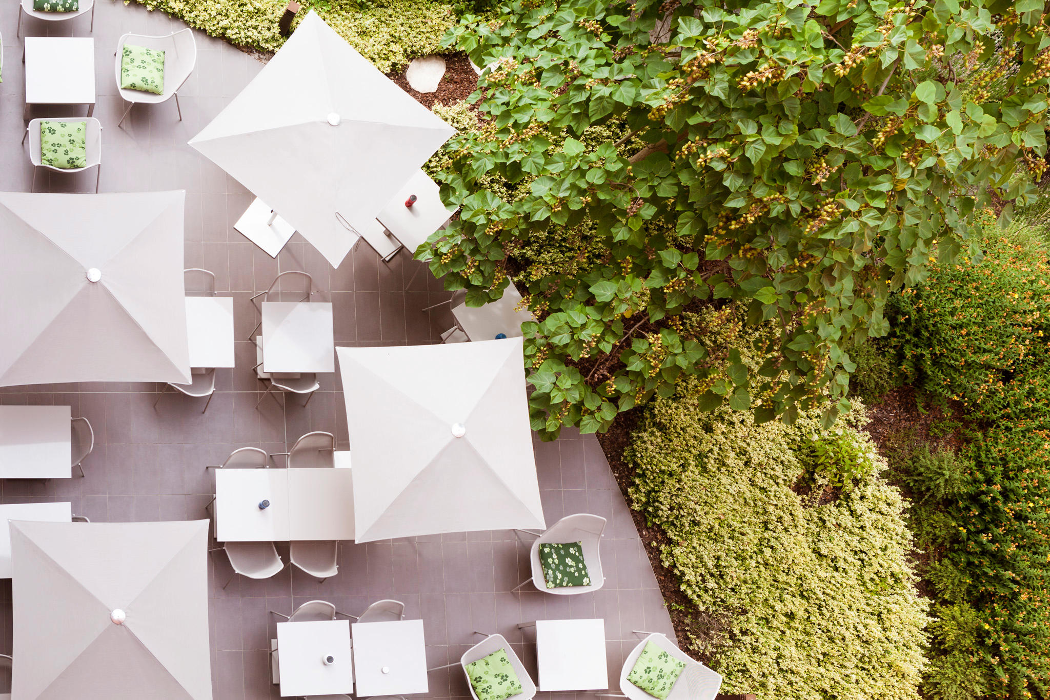 Фото Novotel Suites Reims Centre