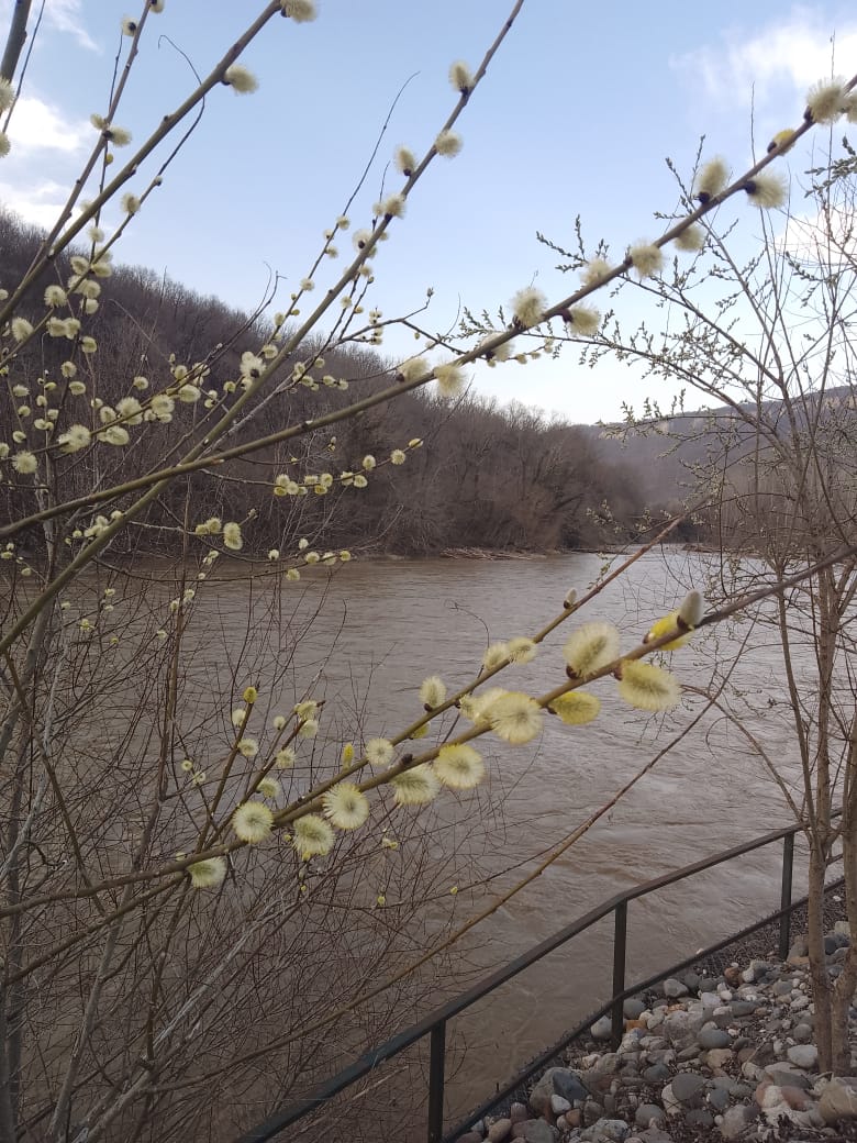 Фото Кордес