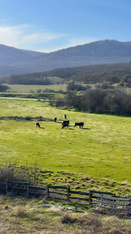 Фото Тихое Место