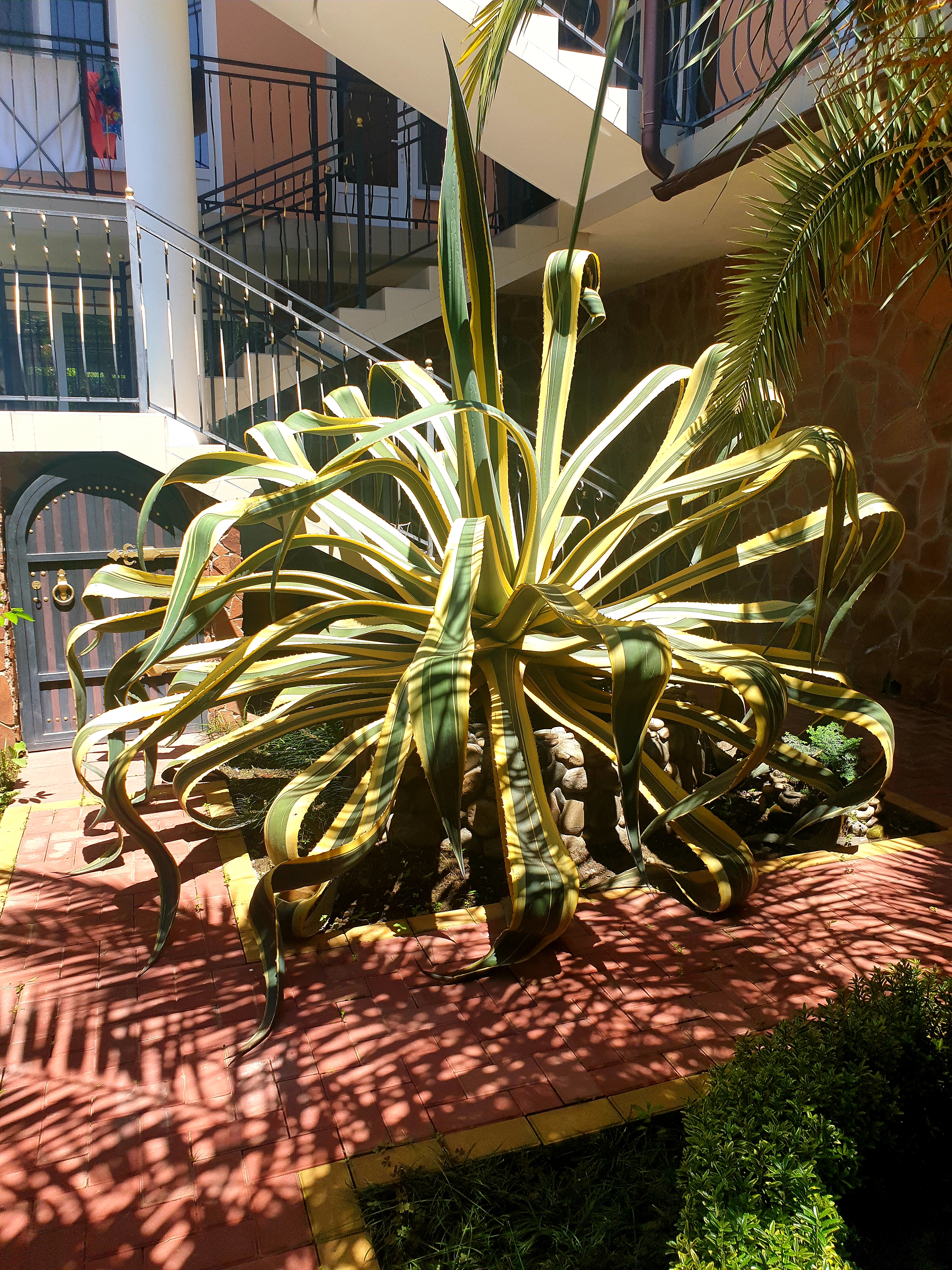 Фото Сибиряк