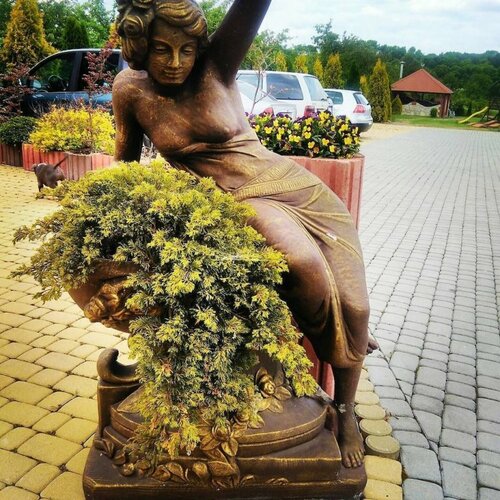 Гостиница Willa Muza