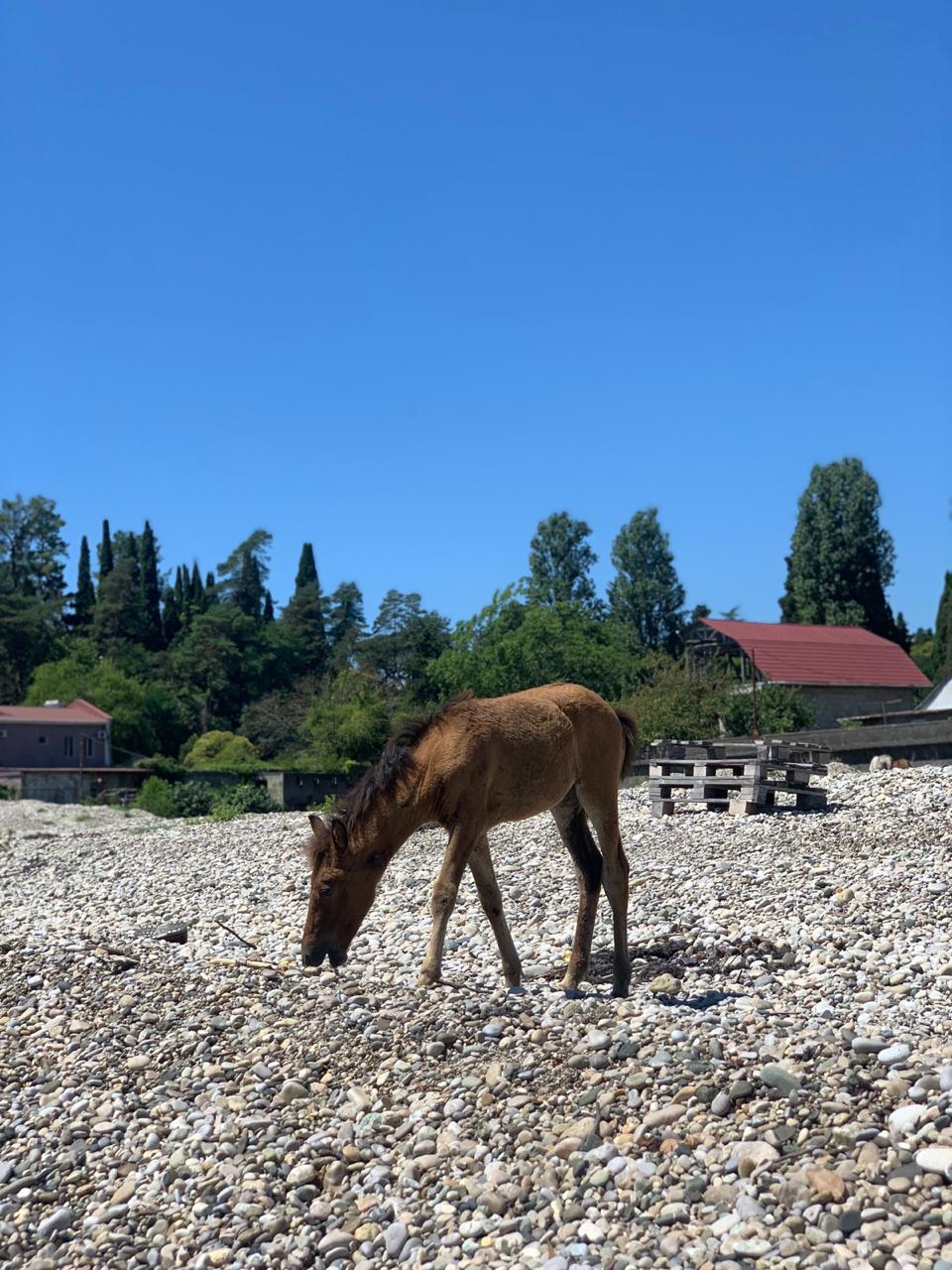 Фото Шале у моря