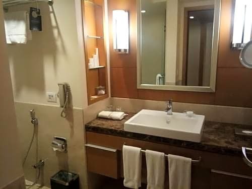 Фото Radisson Blu Hotel Nagpur