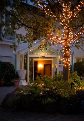 Фото Blankenfeld