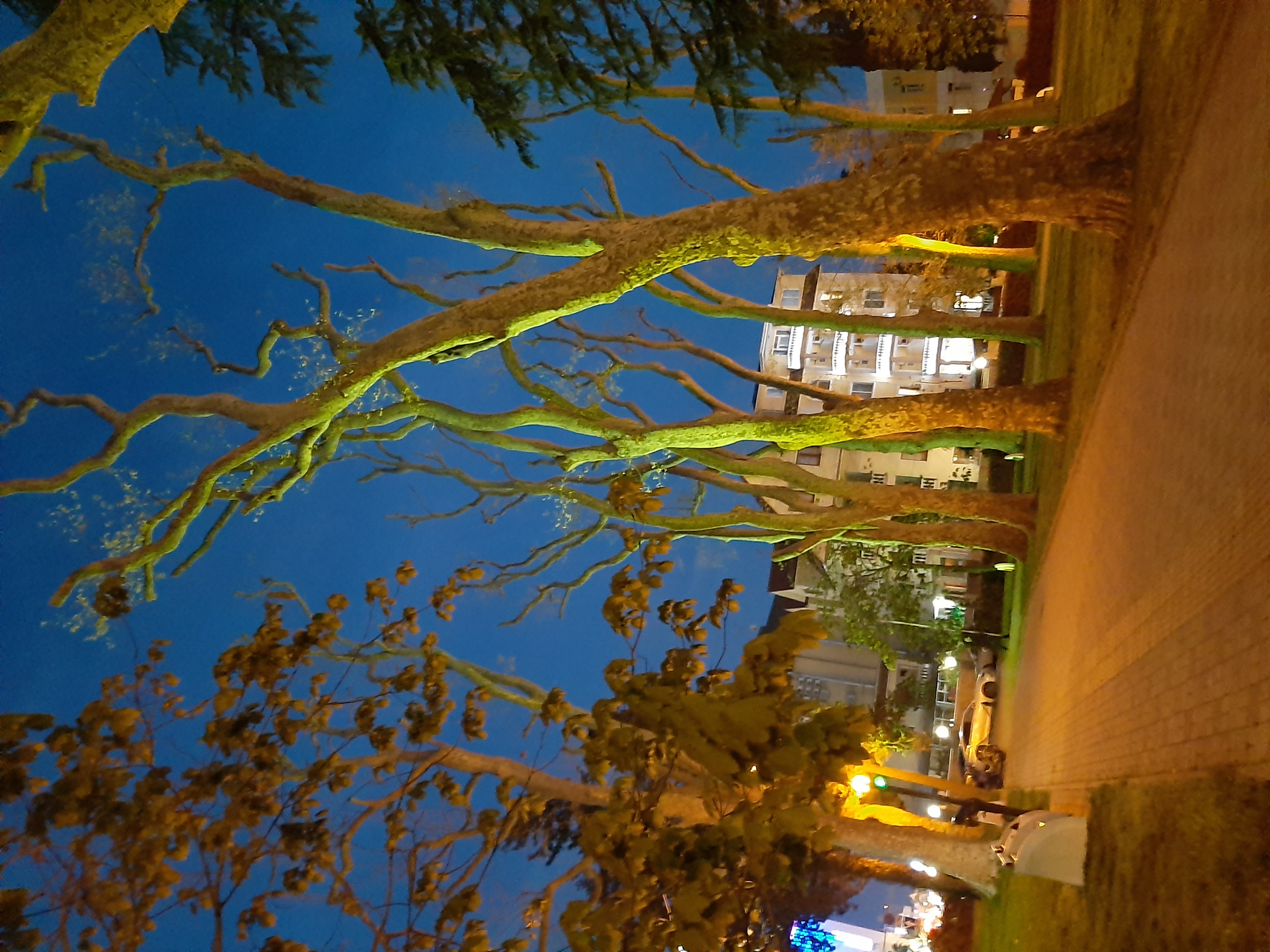 Фото Альмира