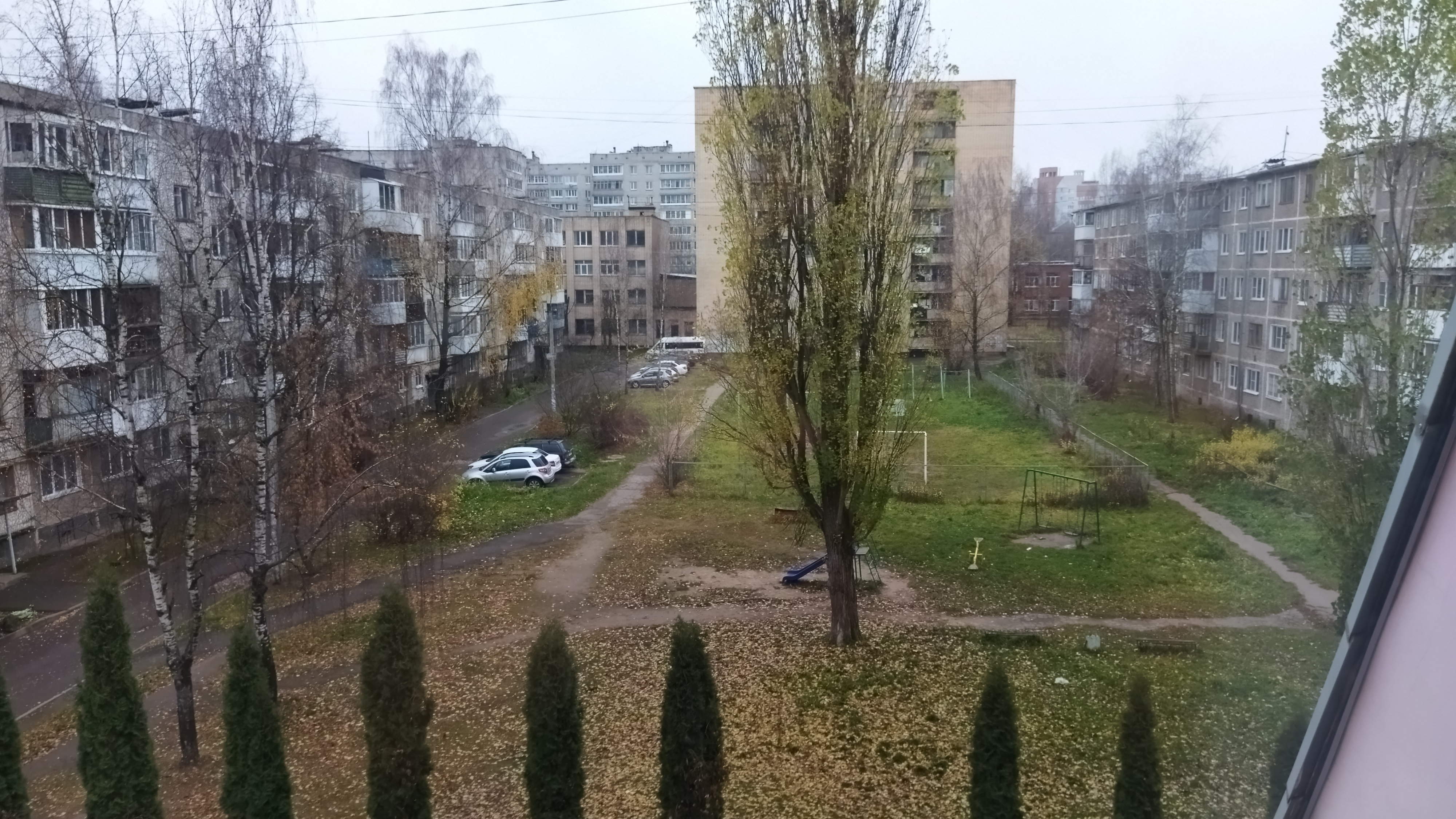 Фото Аврора