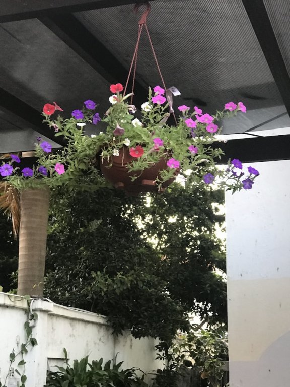 Фото Lai Ming Hotel Cosmoland