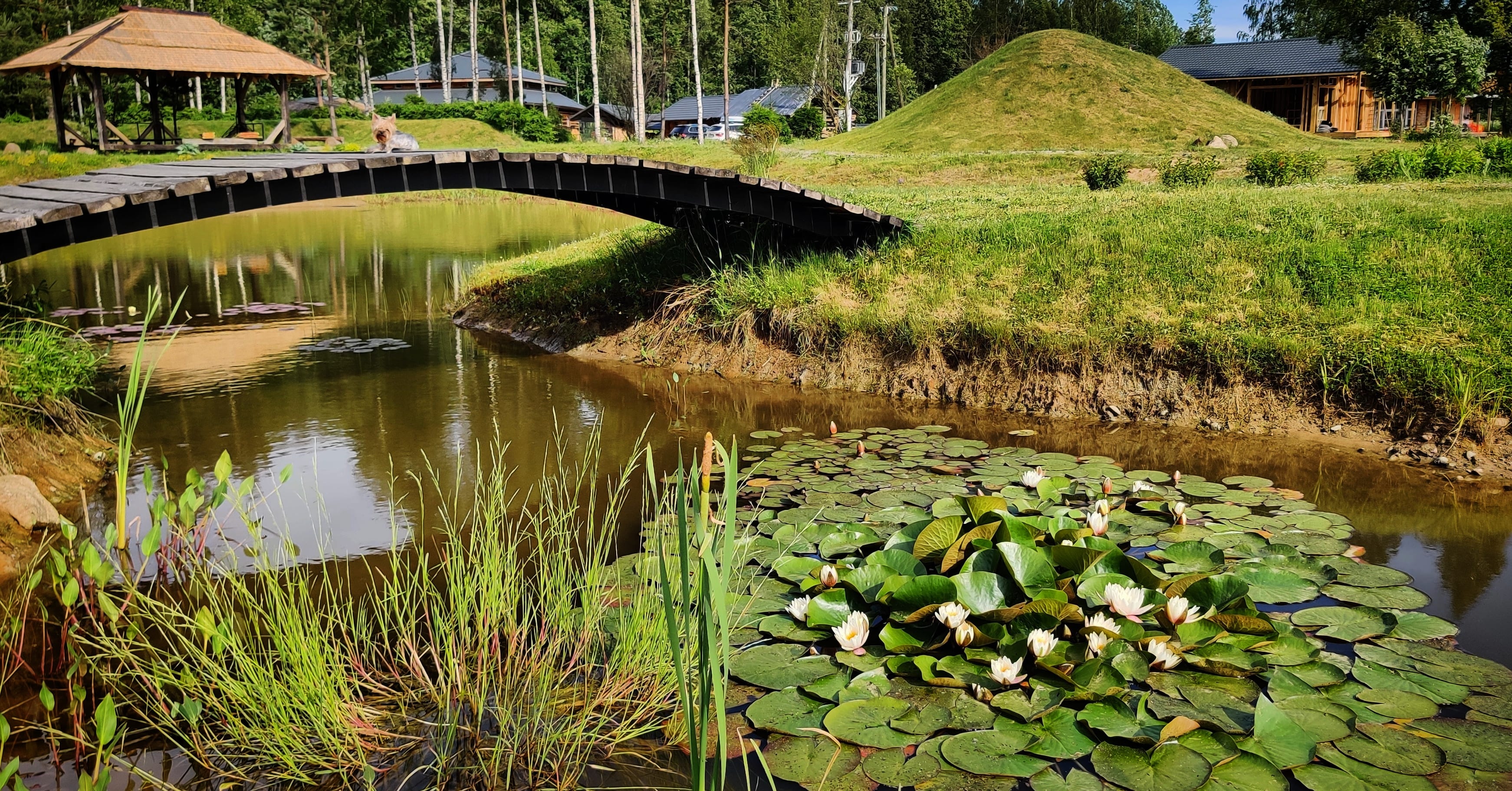 Фото Мануки эн