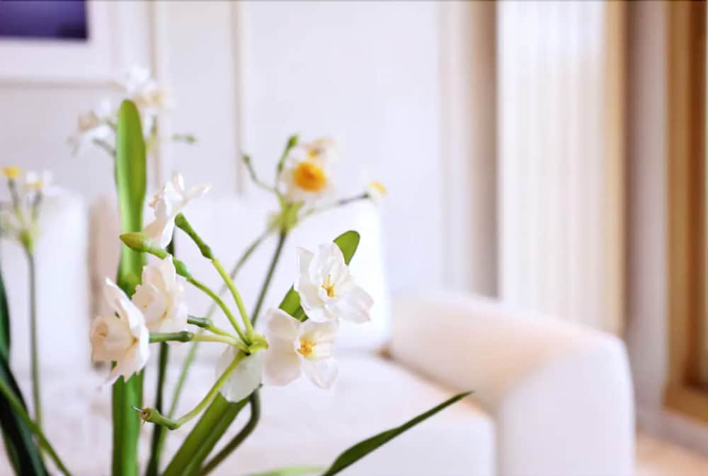 Фото Apartment Borromees