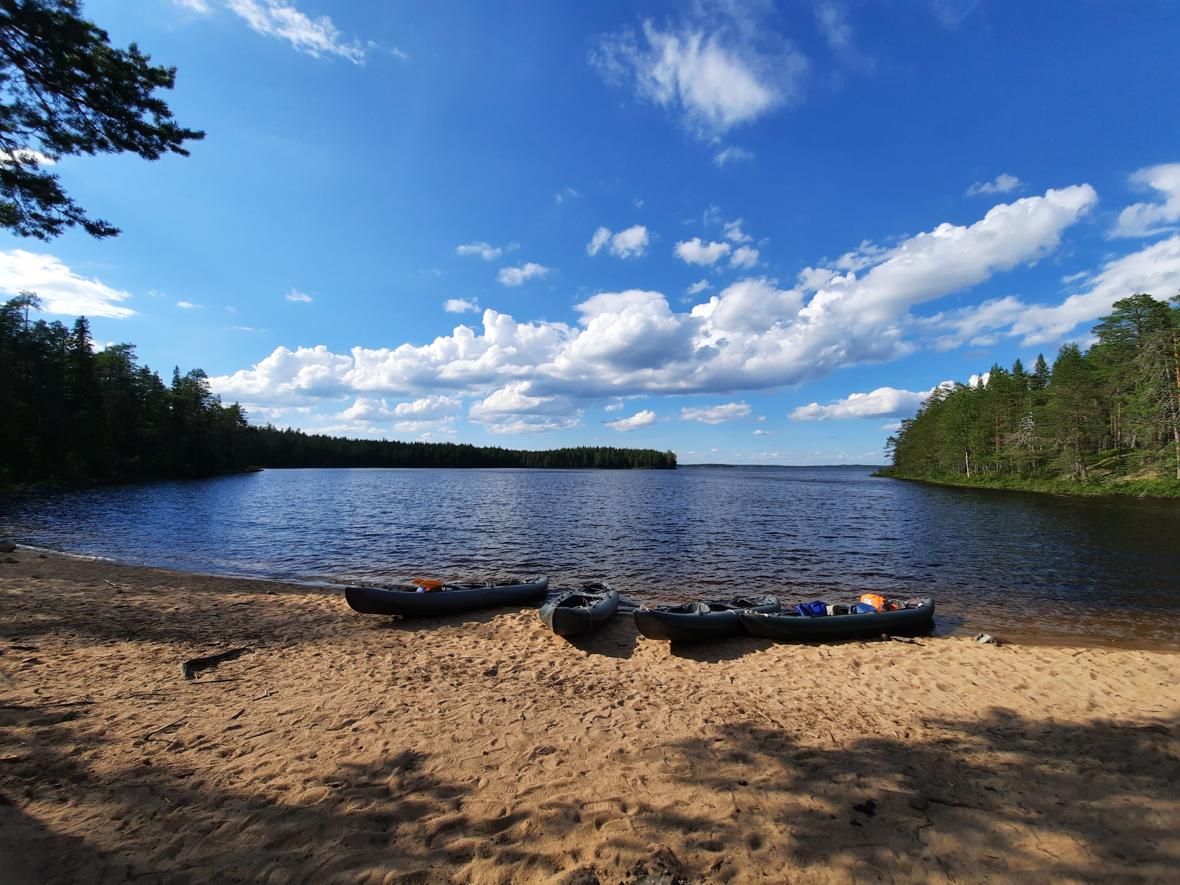 Фото Поляна
