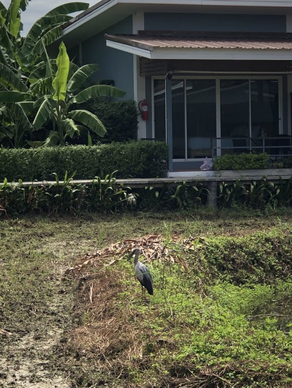 Фото Milin Villa