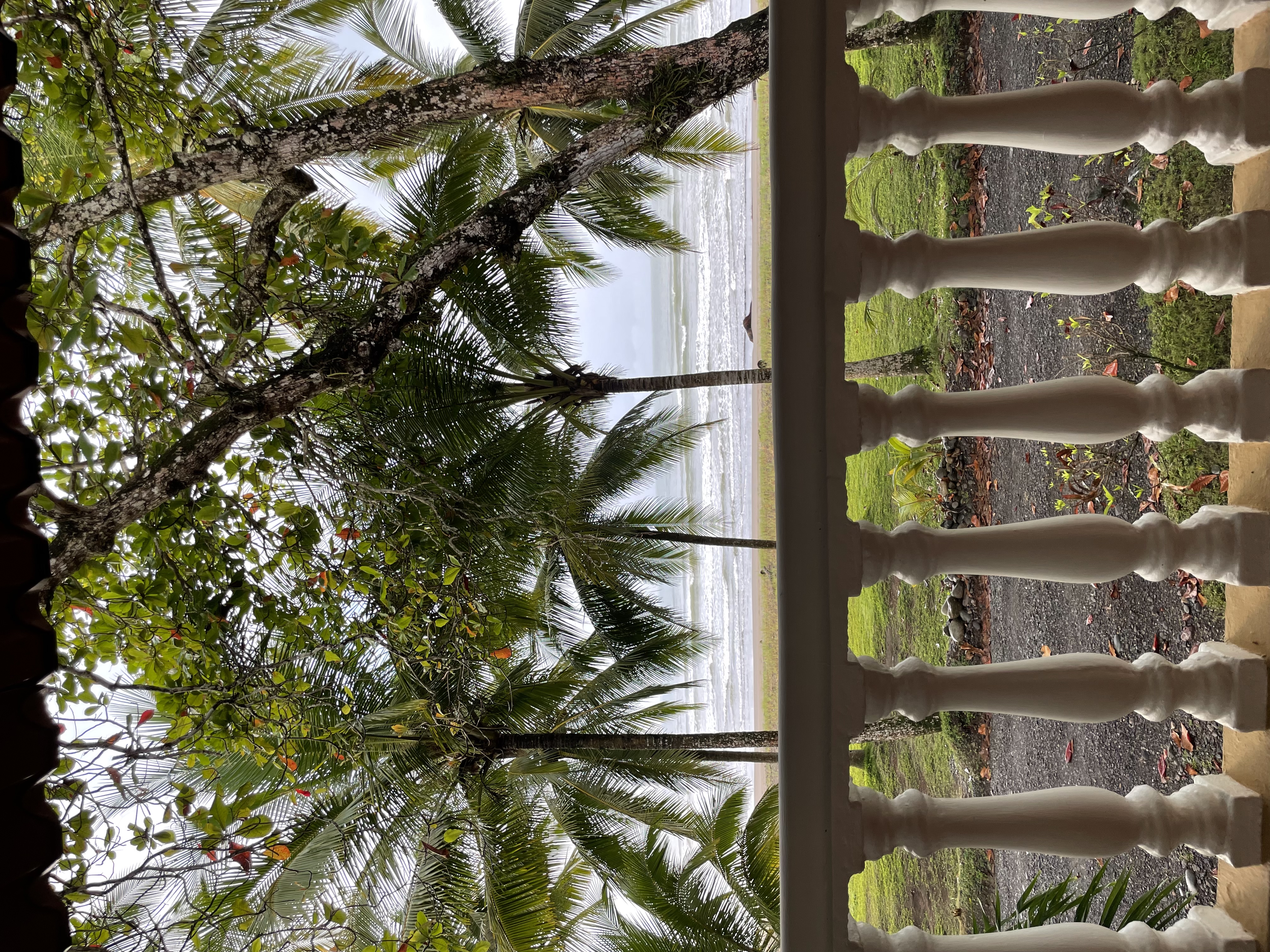 Фото Hotel Delfin Playa Bejuco