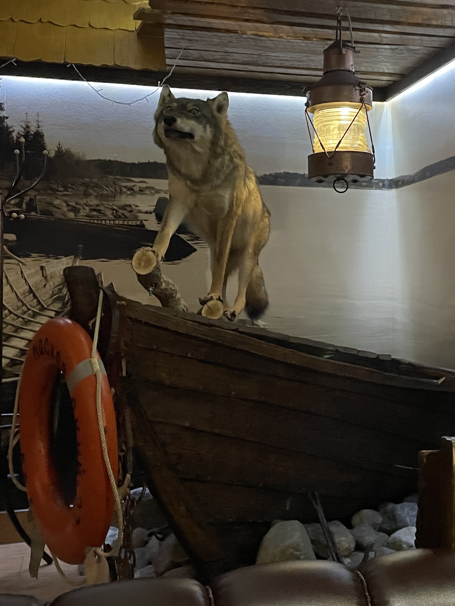 Фото Сегежа