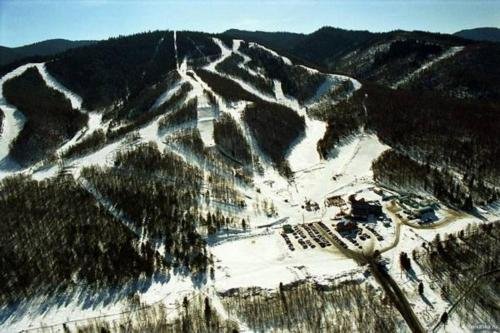 Фото Береза