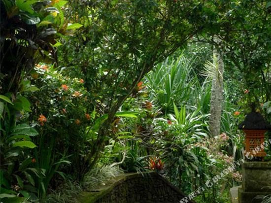 Фото Alam Indah Ubud