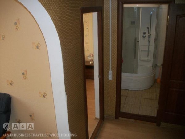 Фото Лебедь