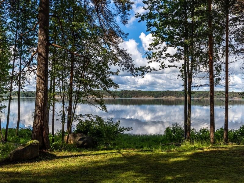 Фото Cosmos Karelia
