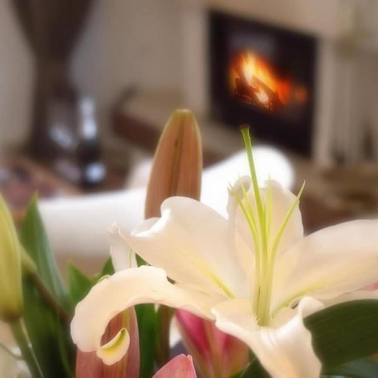 Фото Delina Mountain Resort