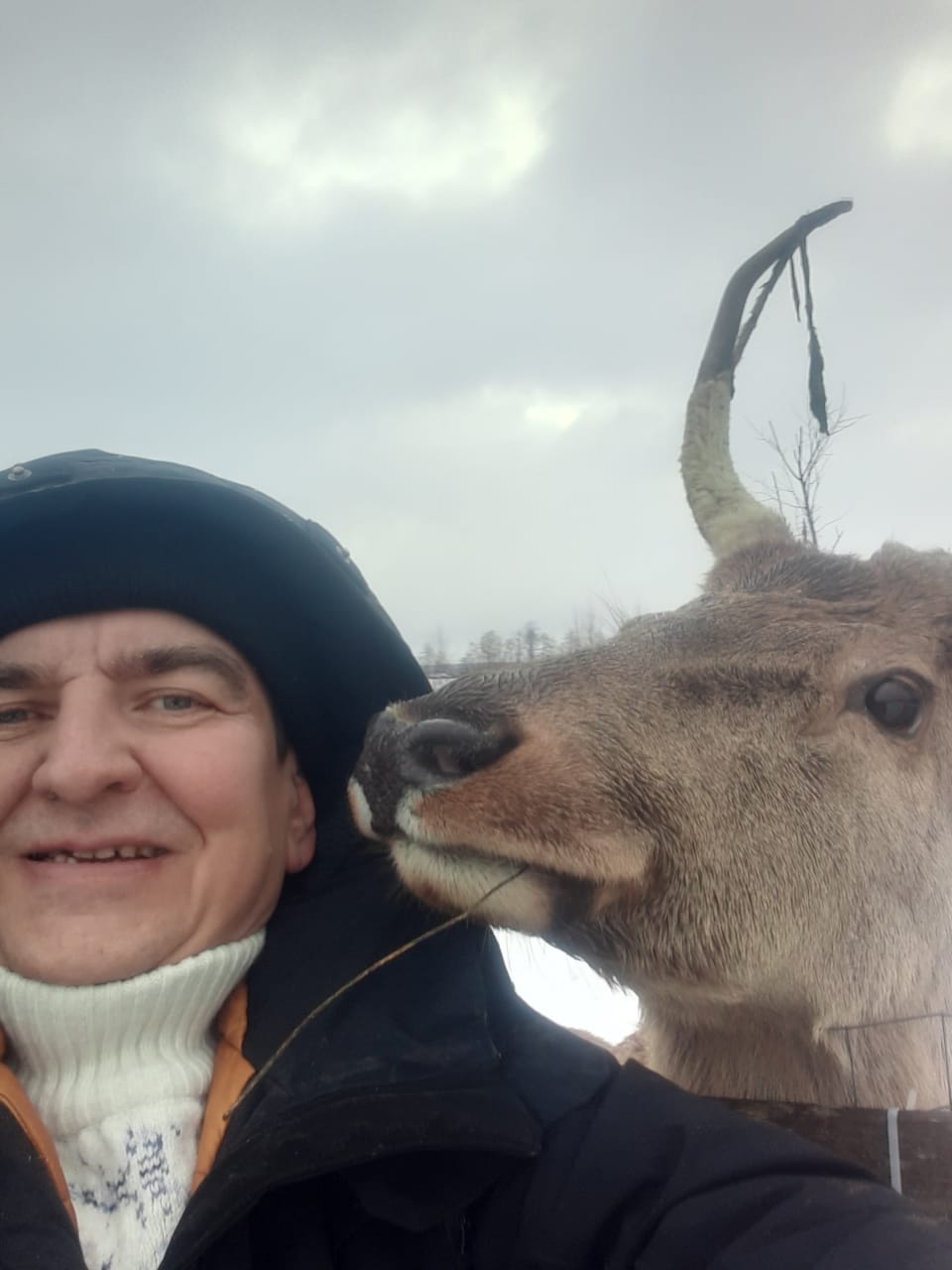 МобиДок - фото 11