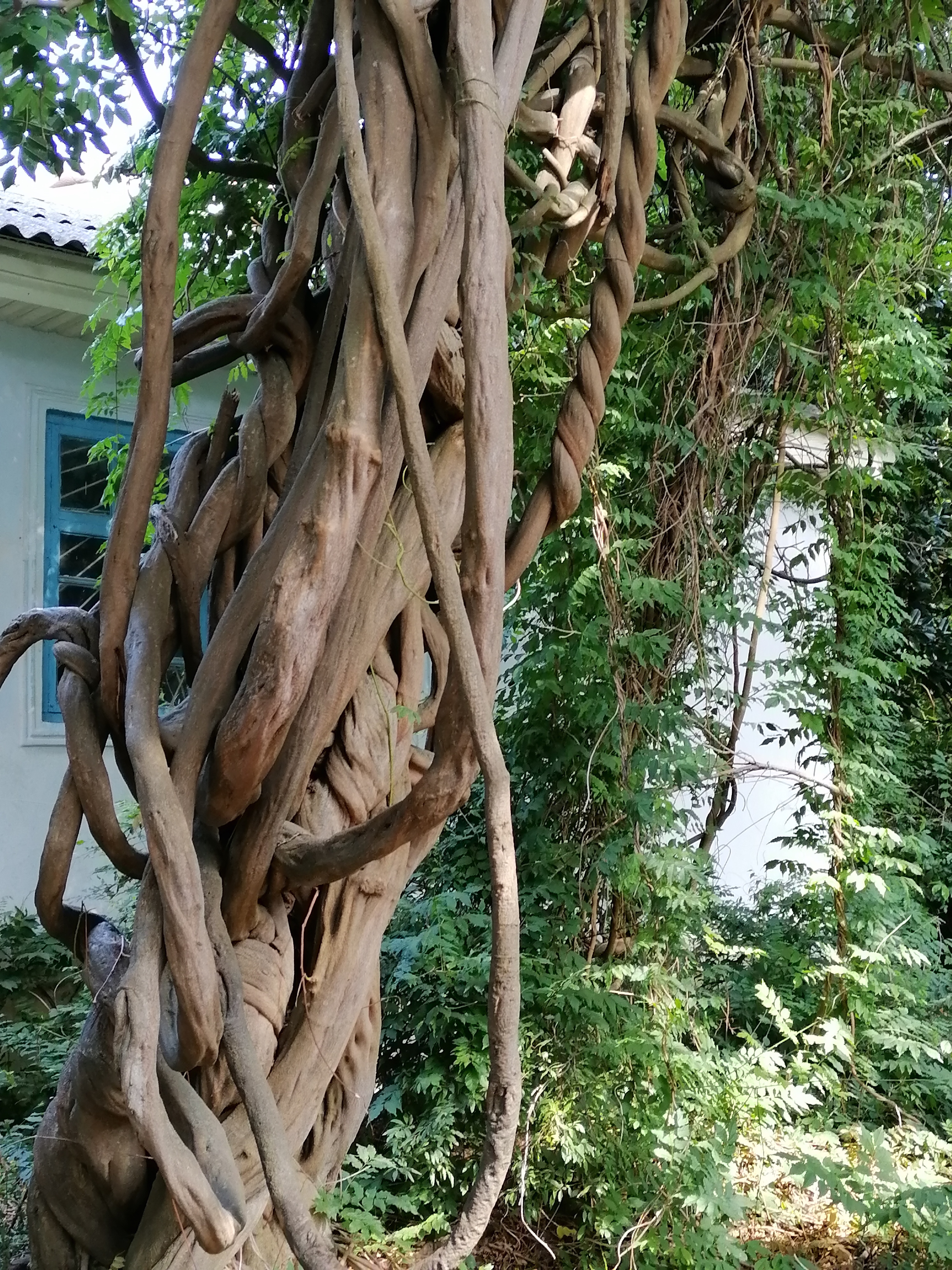 Фото Гизель-Дере