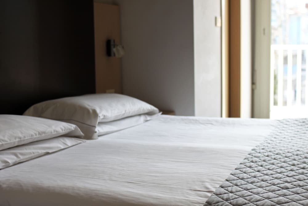 Фото Hotel Aiglon