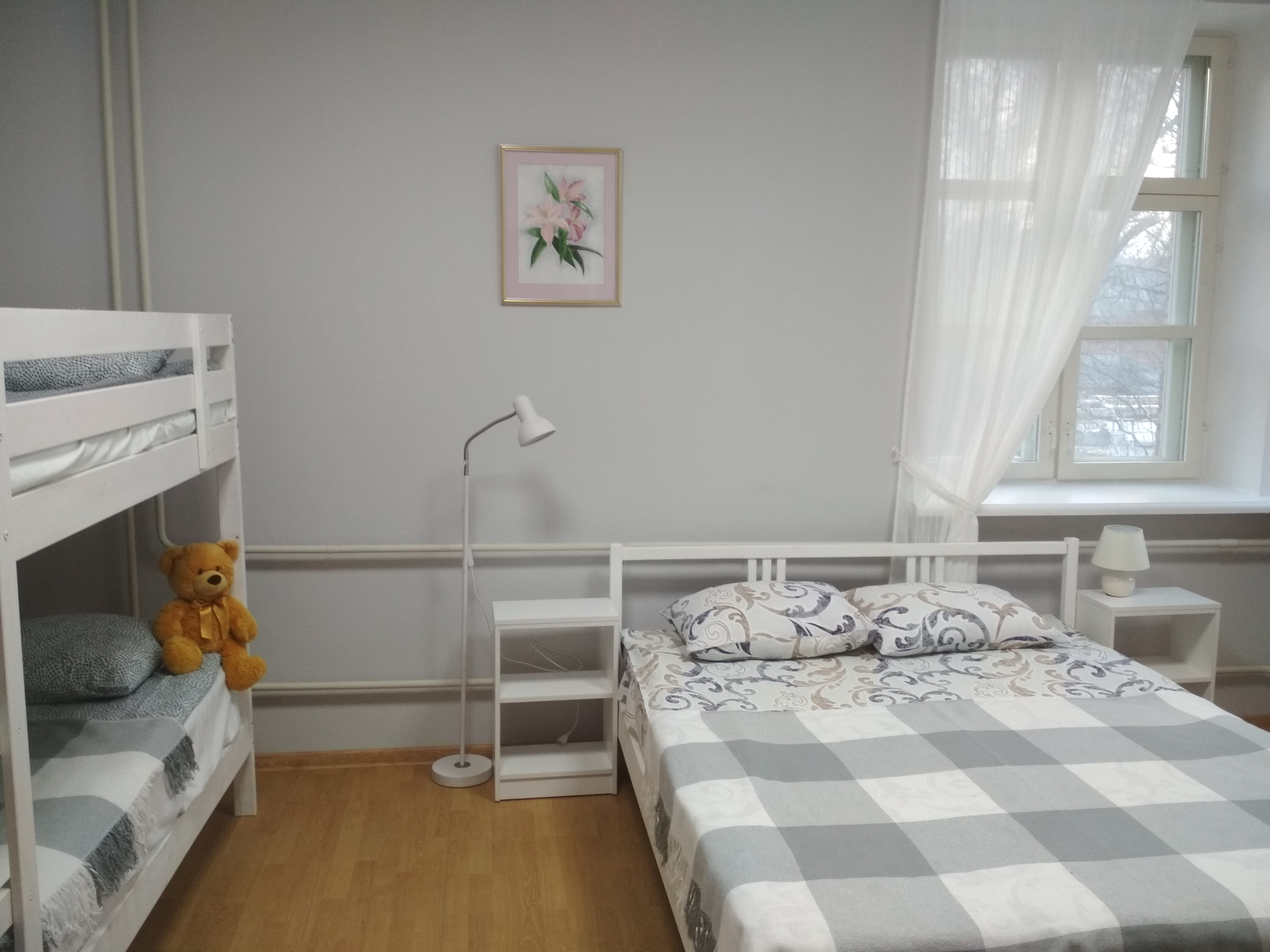 Фото Сканди