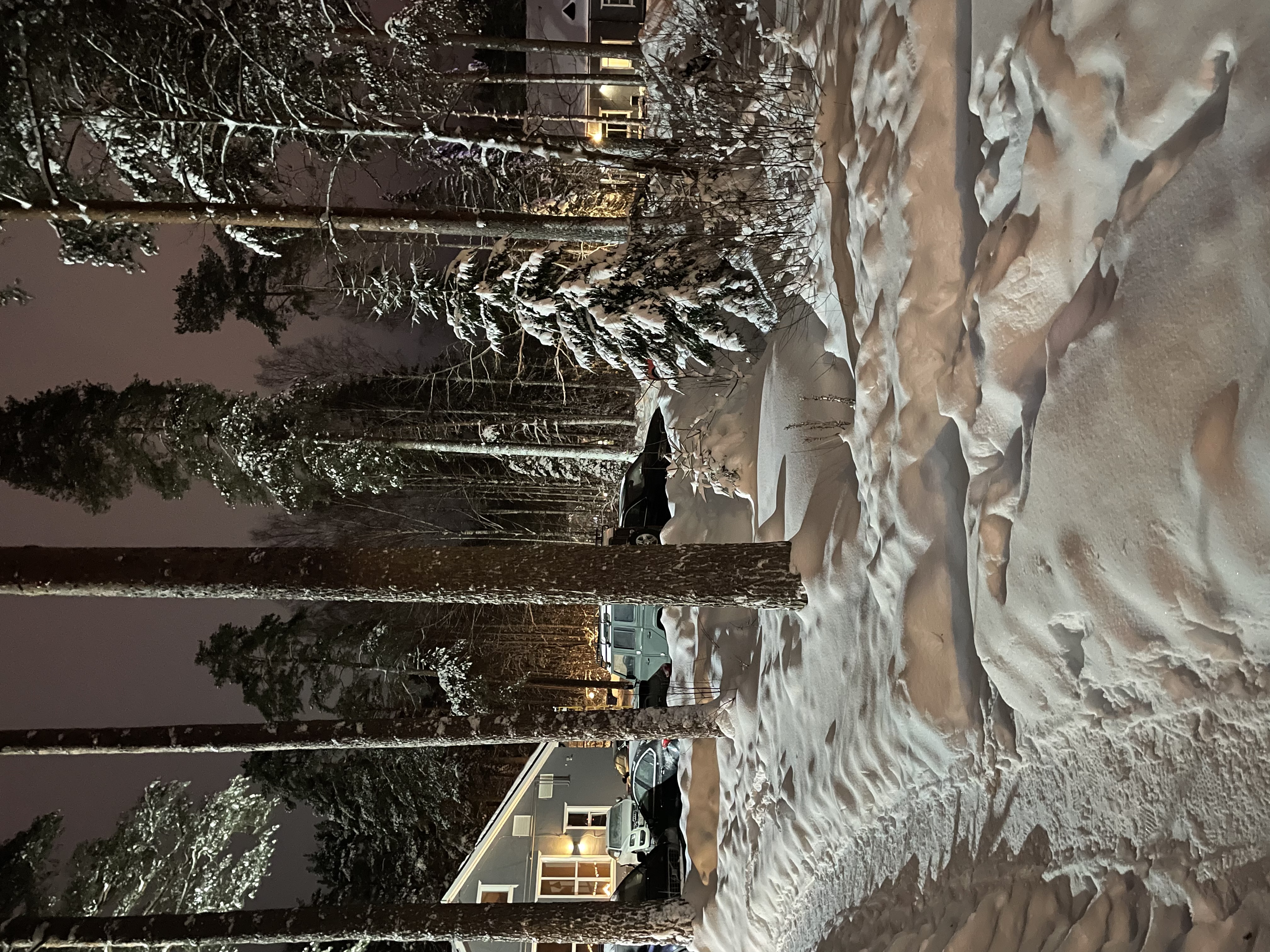 Фото Искатель