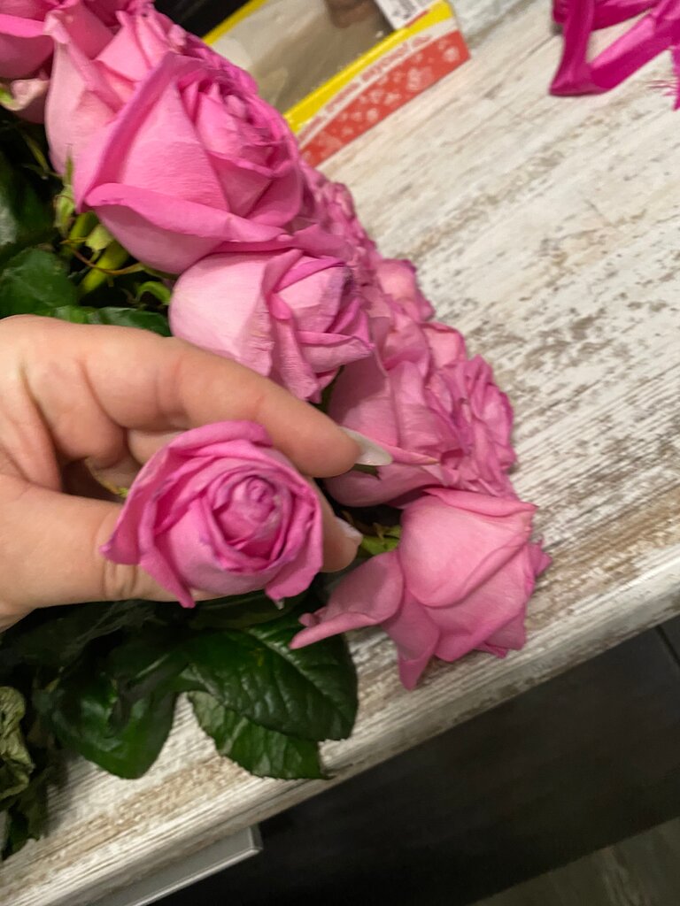 Floristeria Magazin tsvetov, Ip Merzomakhmudov E. N., , foto
