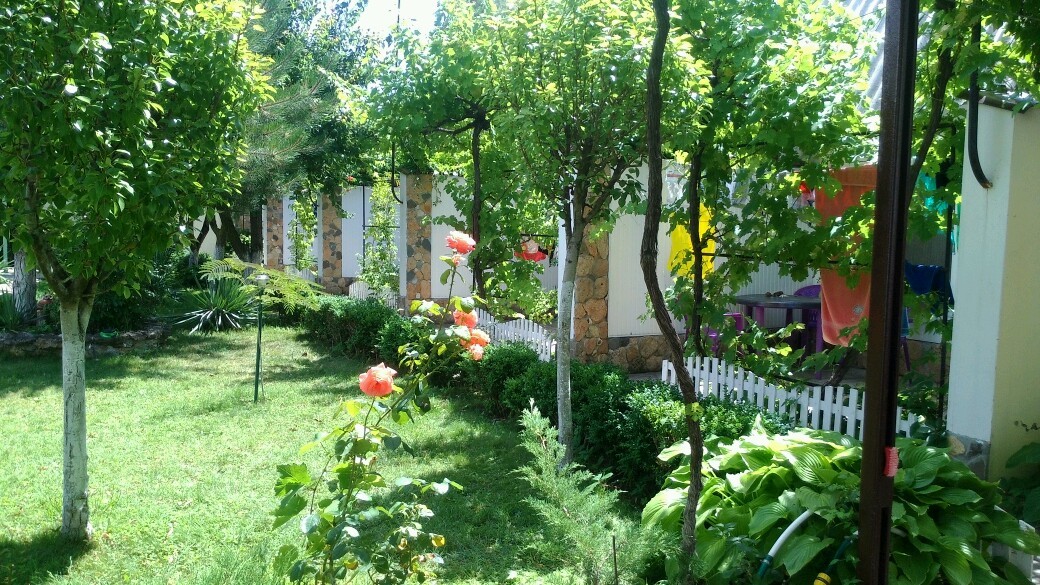 Фото Ивушка