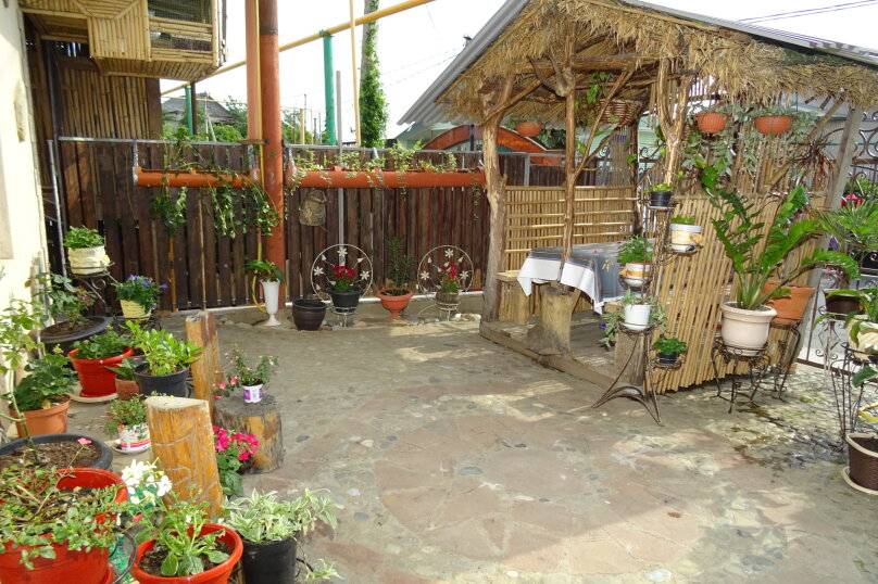 Фото Любовь и голуби