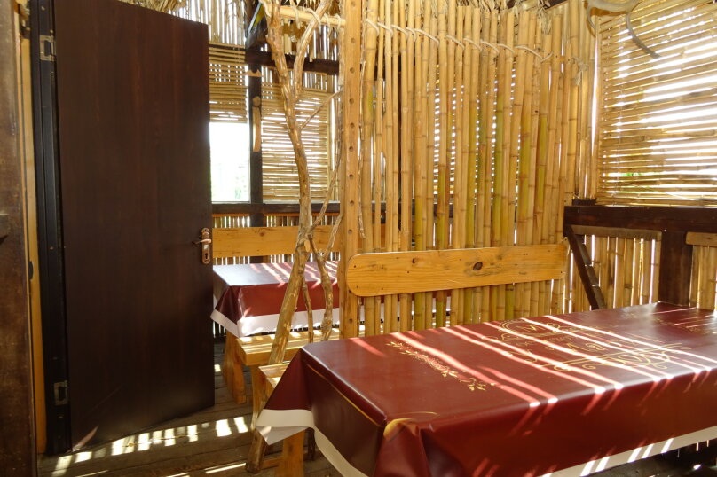 Фото Любовь и голуби