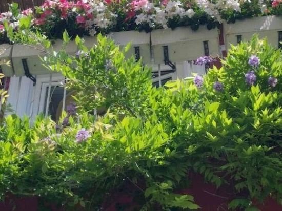 Фото Villa La Tartana