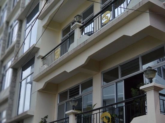 Фото Golden Dolma